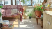 رووف - مفروشه - للايجار