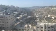 شقه - مشطب - للبيع