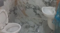  -  - 