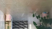 شقه - مشطب - للبيع