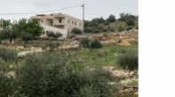 منزل منفصل - مشطب - للبيع