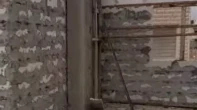  -  - 
