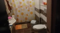 شقه - مفروشه - للبيع