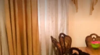 شقه - مفروشه - للبيع
