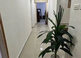 شقه مفروشة للبيع