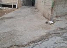 منزل منفصل - مفروشه - للبيع