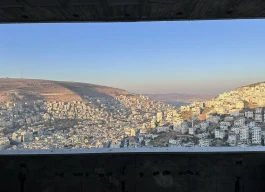 شقه عظم للبيع