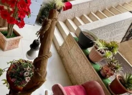 شقه مفروشة للبيع