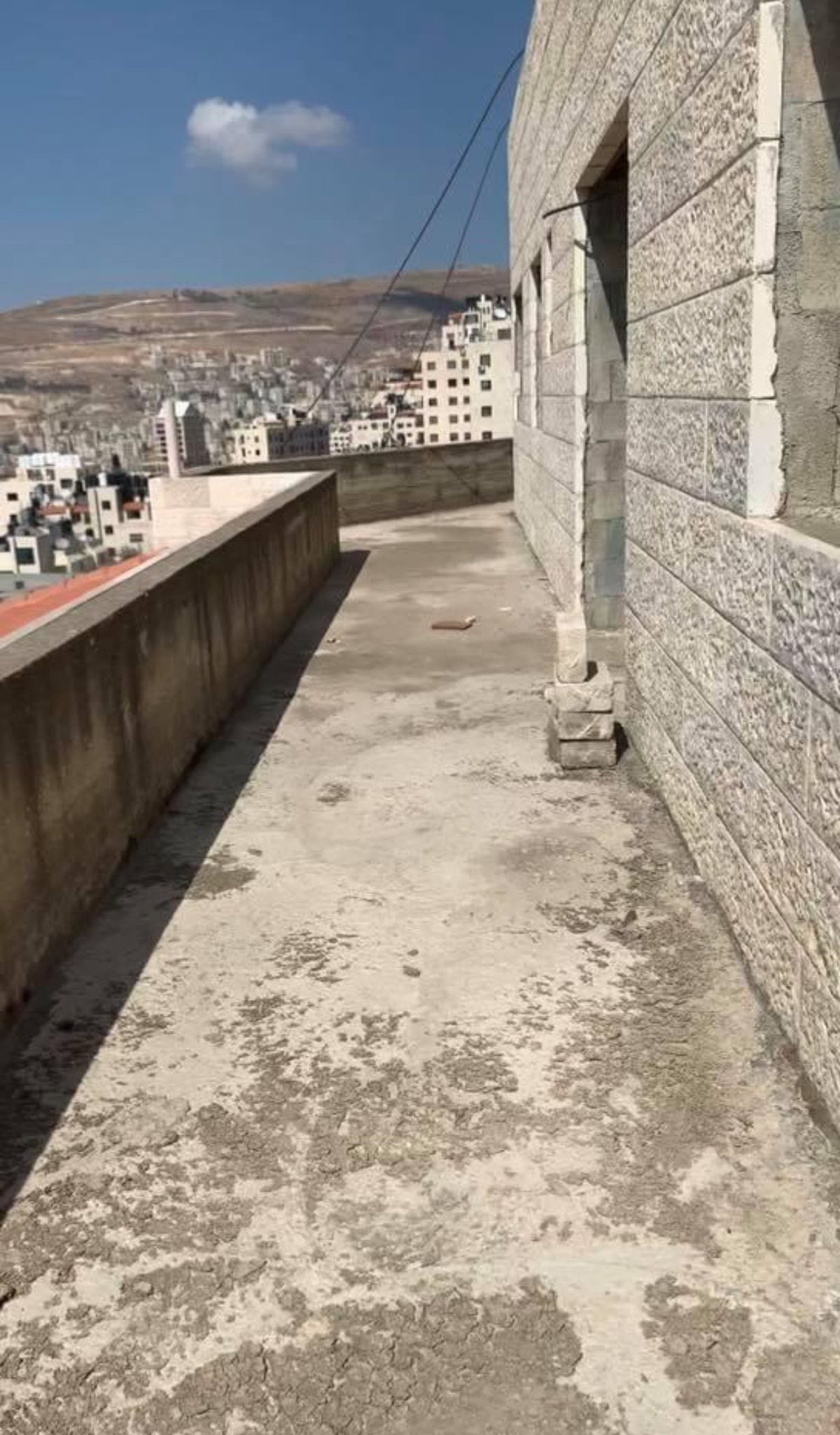 رووف عظم للبيع