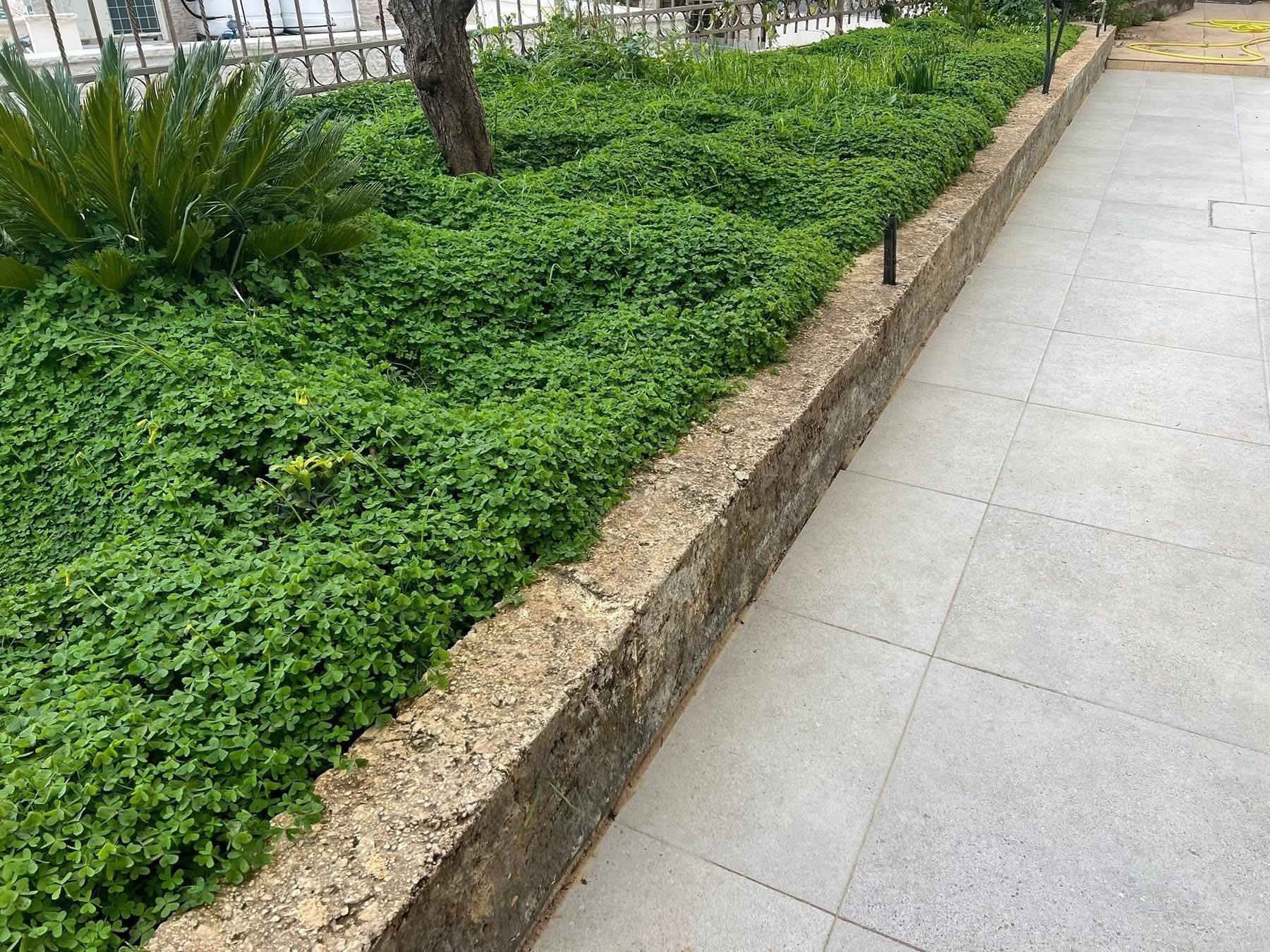 شقه مفروشة للايجار