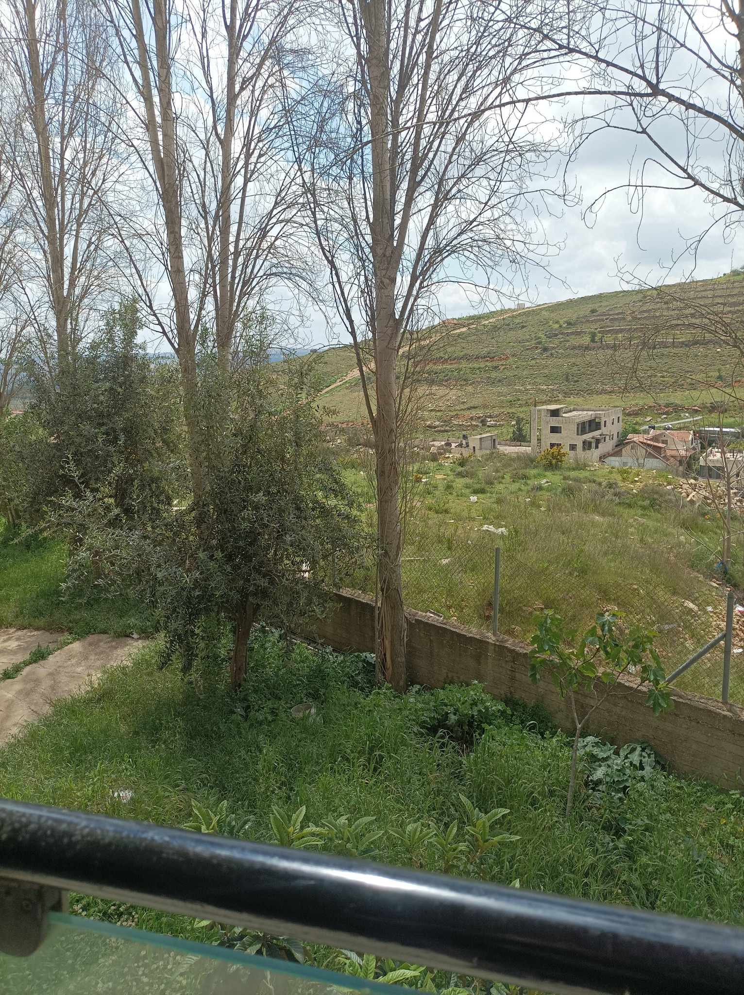 شقه غير مفروشة للبيع