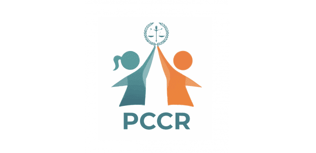 مدير تنفيذي