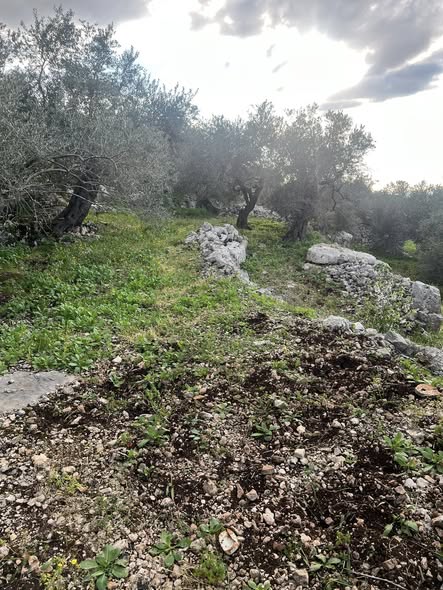 أرض للبيع 1180 متر مربع