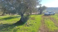 ارض للبيع 57دنم