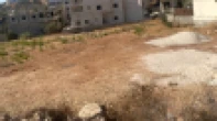 ارض للبيع  دونم