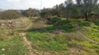 أرض للبيع 320متر مربع