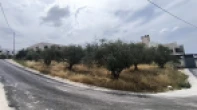 نمرتين للبيع