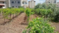أرض للبيع 771 متر مربع