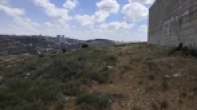 أرض للبيع 1 دونم
