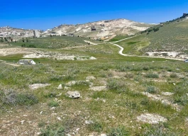 أرض للبيع 1200متر مربع