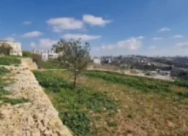 أرض للبيع 2 دونم و300 متر مربع