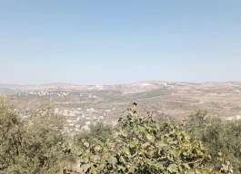 أرض للبيع 2200 متر مربع