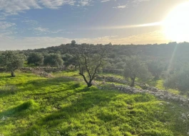 أرض للبيع 505 متر مربع