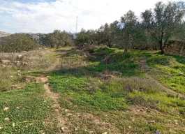 أرض للبيع 320متر مربع