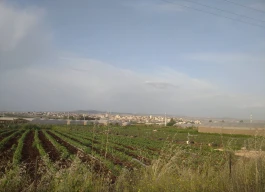 أرض للبيع 2452 متر مربع