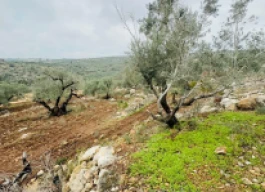 أرض للبيع 600 متر مربع