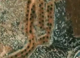 أرض للبيع 6 دونم