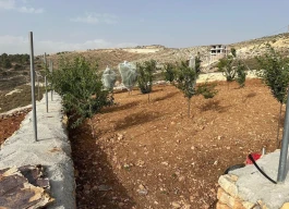 أرض للبيع 1 دونم