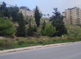أرض للبيع 900 متر