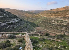 أرض للبيع 2250 متر مربع