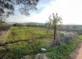 أرض للبيع 2 دونم