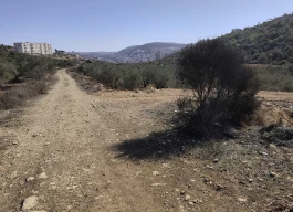 أرض للبيع 2650متر مربع