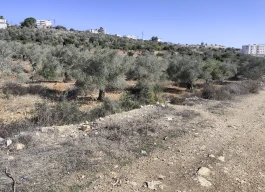 أرض للبيع 2650م