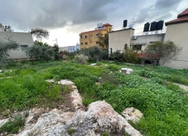 نصف دونم للبيع