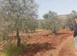 ارض للبيع 70دونم