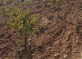 أرض للبيع 400م