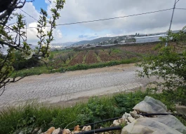 أرض للبيع 1260 متر مربع