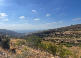 أرض للبيع 1385 متر مربع