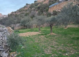 أرض للبيع 1400 متر مربع