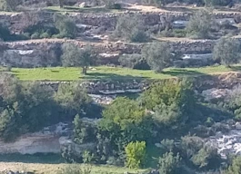 أرض للبيع 2 دونم