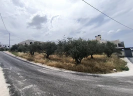 نمرتين للبيع