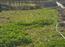 أرض للبيع 800متر مربع