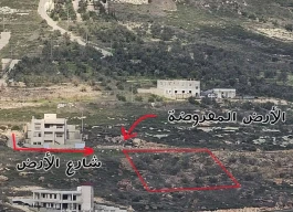 عدة نمر للبيع