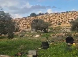 أرض للبيع 1000 متر مربع