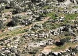 أراضي للبيع