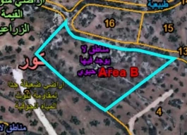 أرض للبيع 2 دونم